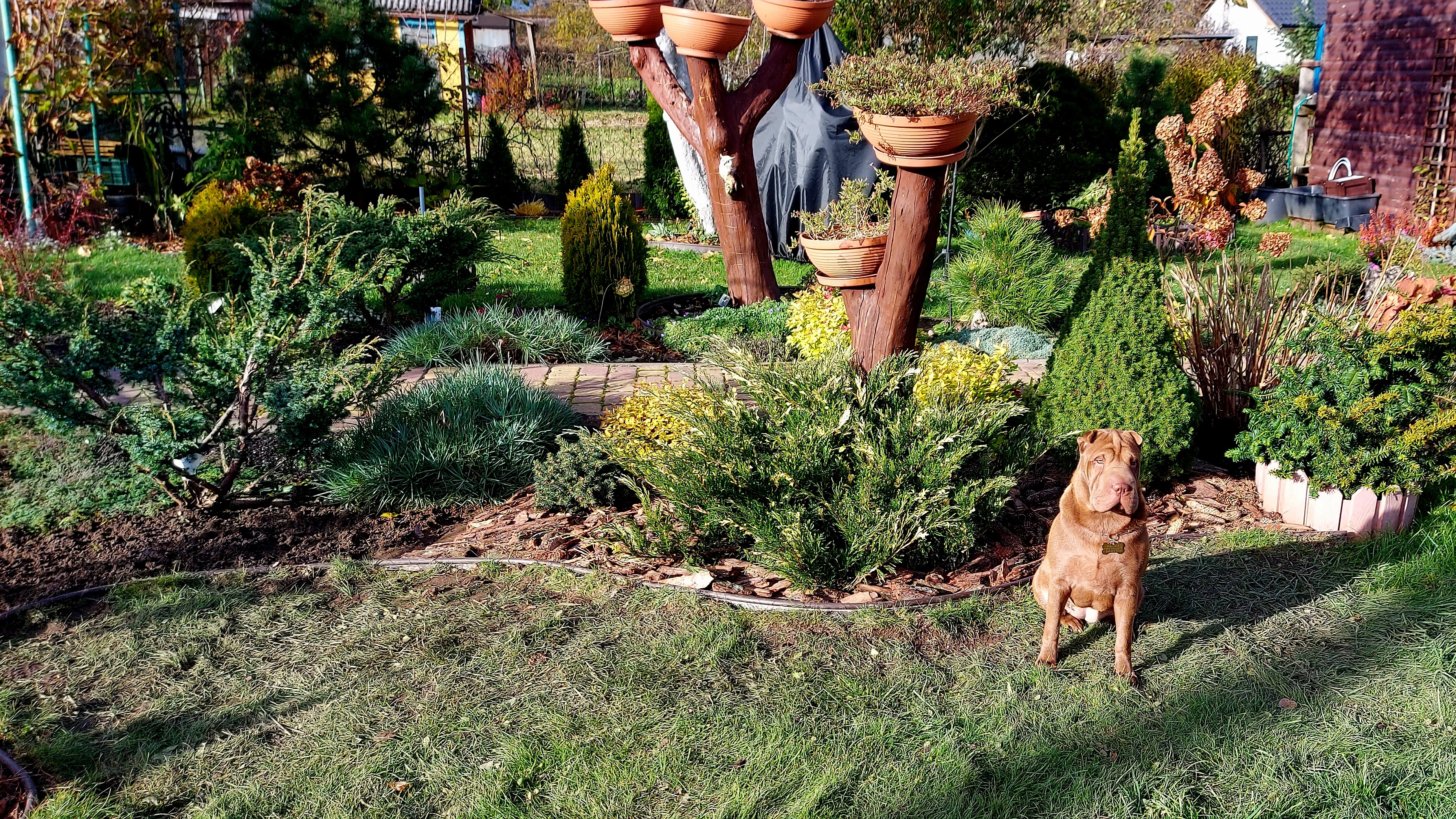 Осенний марафон на даче🍁🍂🍁Покой нам только снится🙃