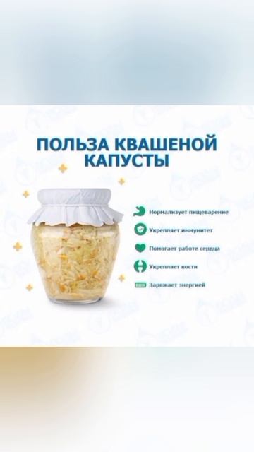Польза квашеной капусты #капуста #квашенаякапуста #еда #пища #польза #katyboro #shortvideo #shorts