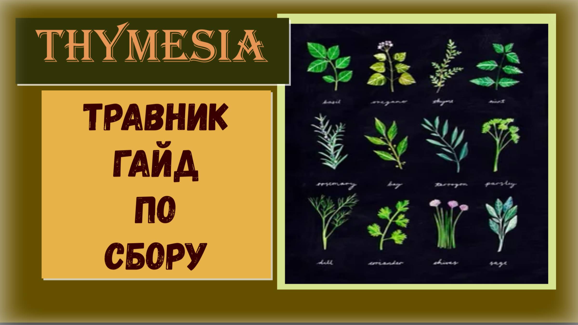 Thymesia Как и где собрать - фармить ингредиенты для зелий  трофей «Травник» (видео гайд)