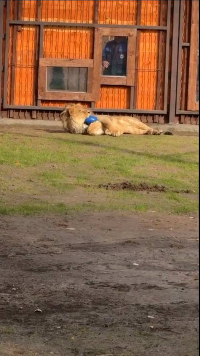 Зрители, вы где?