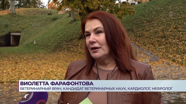 Ветеринарная клиника «Захаров и Фарафонтова»