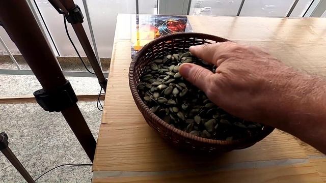 Семена из одной тыквы