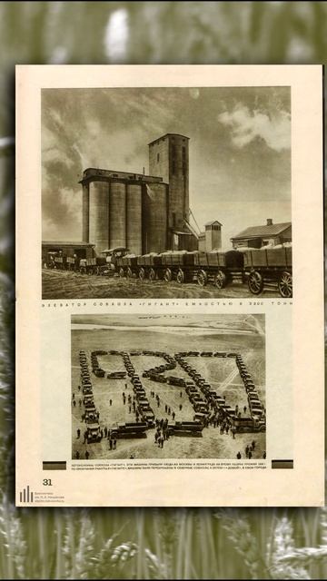 МТС: колхозы недовольны