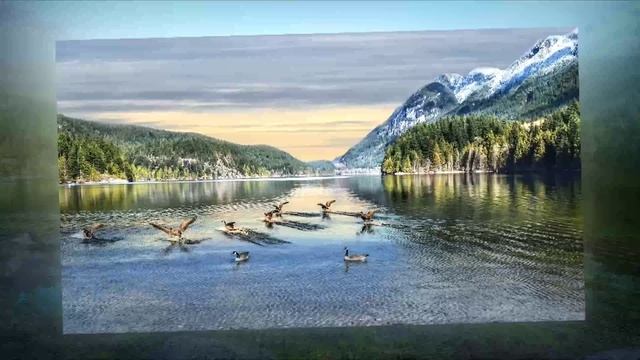 Moments Of Life 231 (Acoustic Mix)