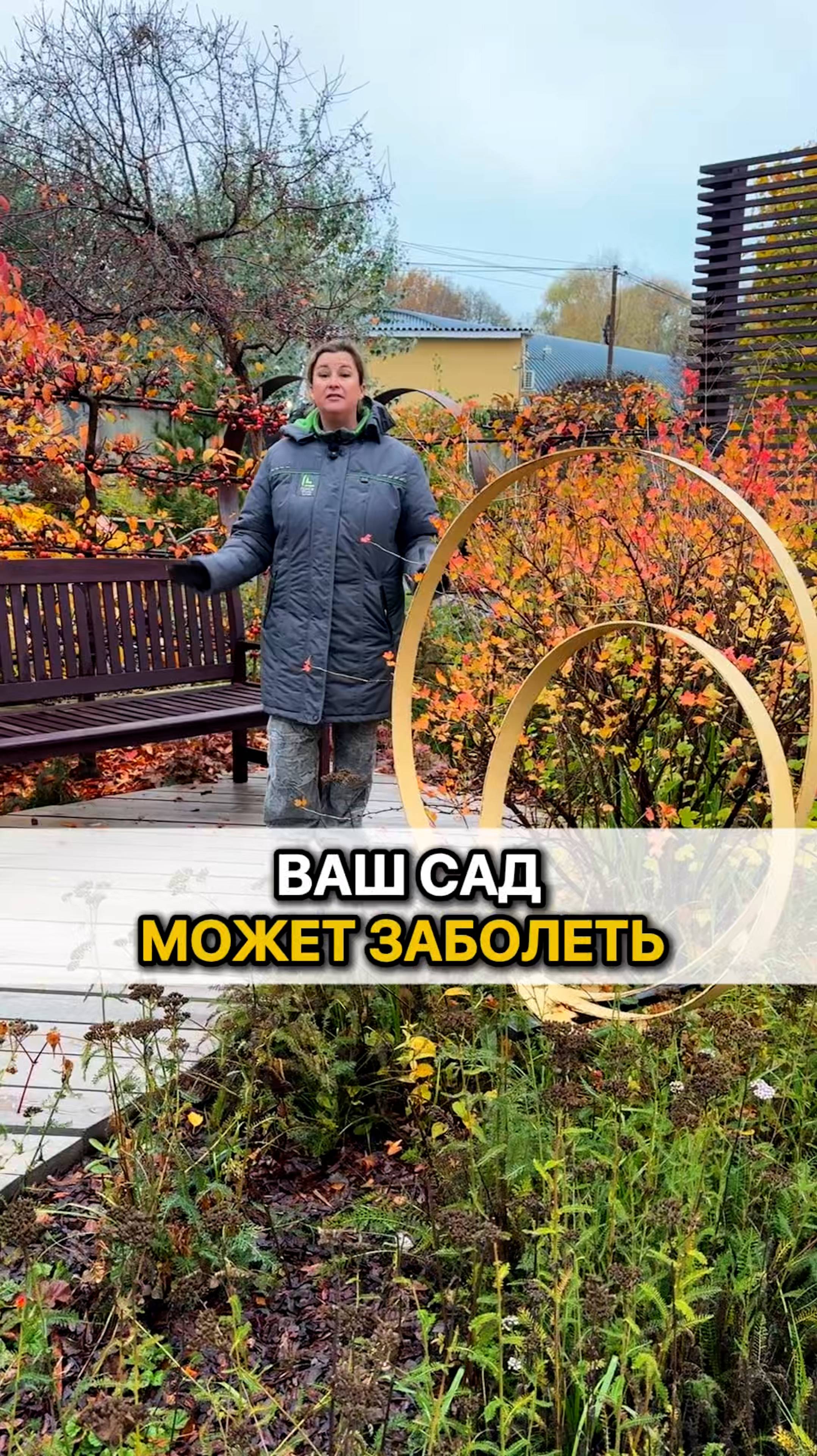 ТРИ ДЕЙСТВИЯ, чтобы ваш сад не заболел!