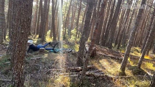 NEW! FailArmy. Try Not To Laugh 🤣 Best of FailArmy Fails