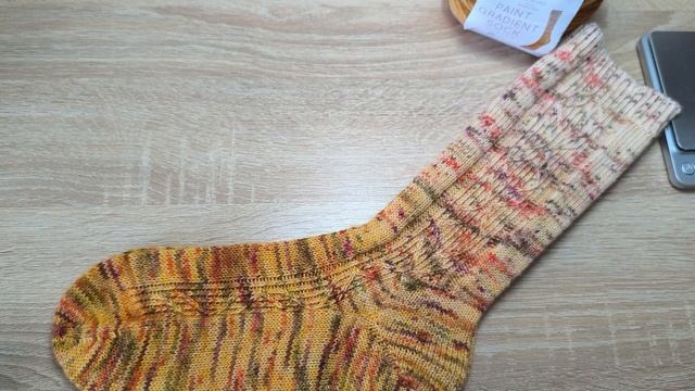 Носки "Тыковка" СП "Носочный блюз осени" 2025 Отчёт Октябрь