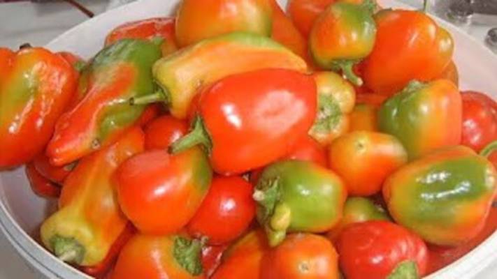 Перец на зиму. Маринкины творинки. Всем МИРА и Добра!