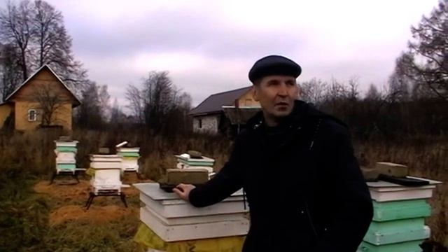 Пчеловодство для начинающих. Избегаем ошибок.(Архив)