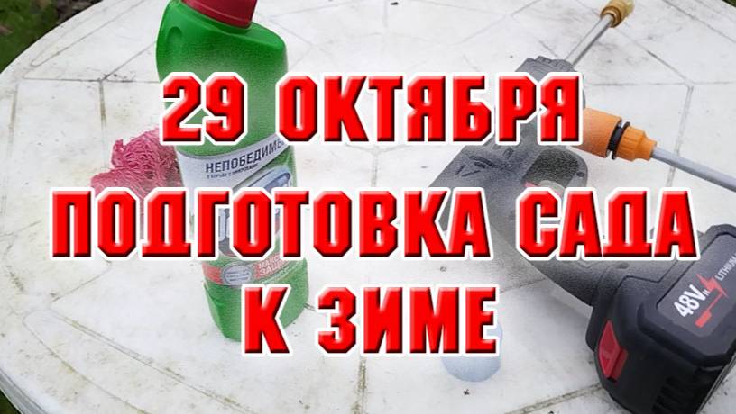 29 октября. Подготовка сада к зиме