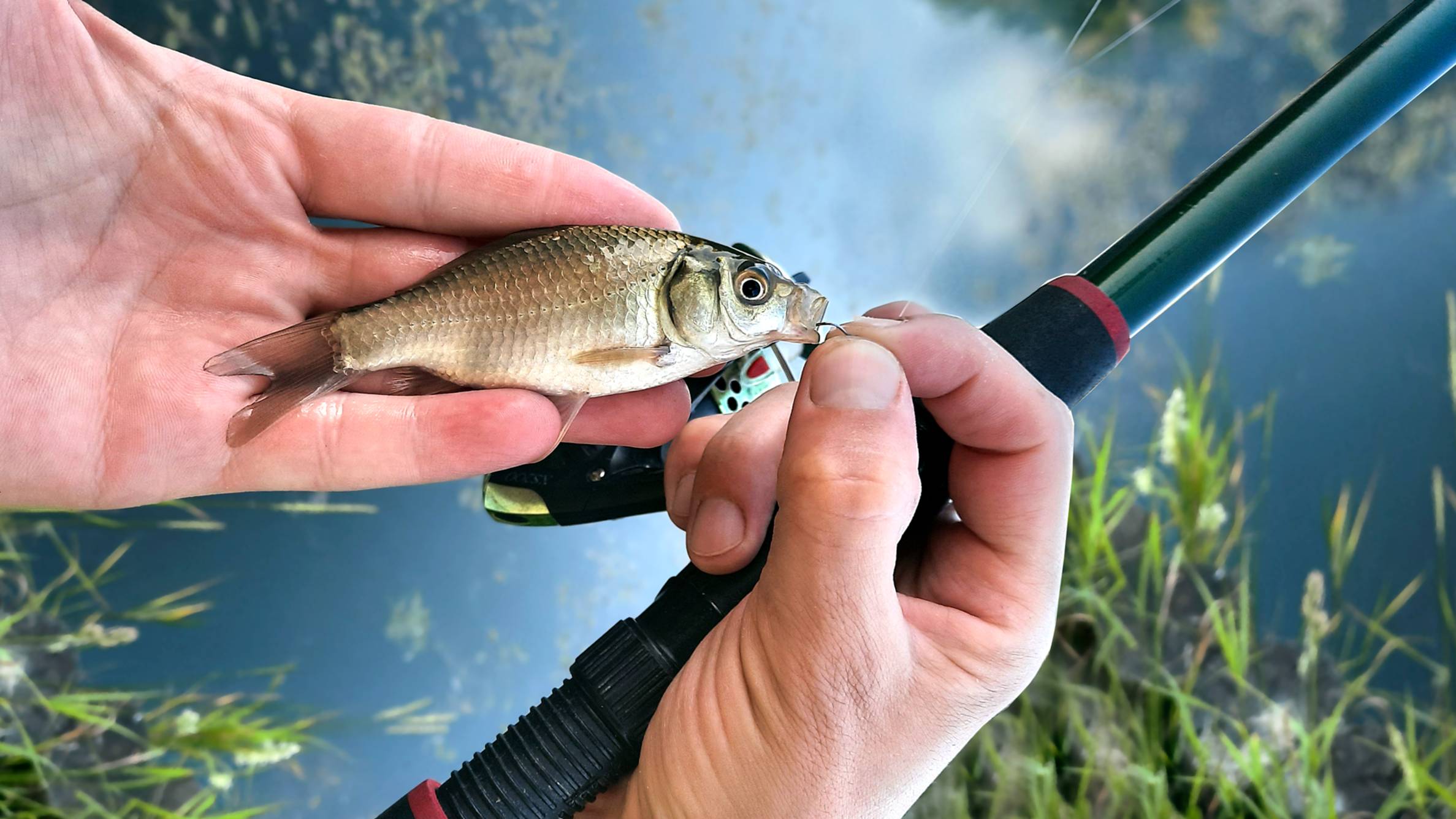 Рыбалка на расслабоне. Ловля карася на поплавок.