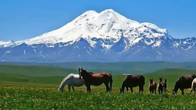 НОВЫЕ ВОЗМОЖНОСТИ...люди говорят