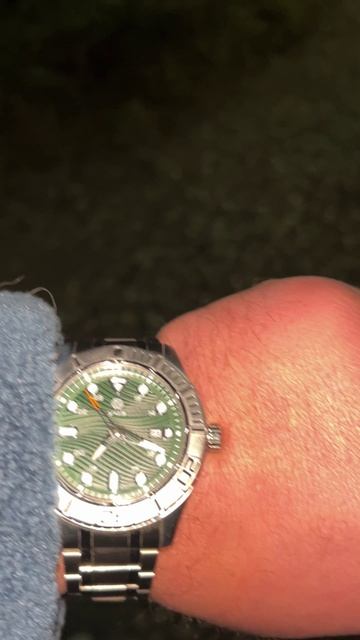 Ночная жизнь anzl.ru