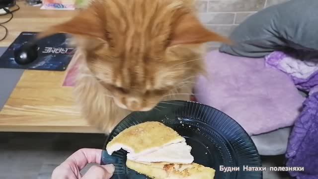 Какой глубины лужы осенью? Что купила в Чижике.Готовим полуфабрикат.Озон подвел с доставкой