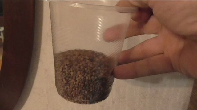 Сколько семян редиски я собрал