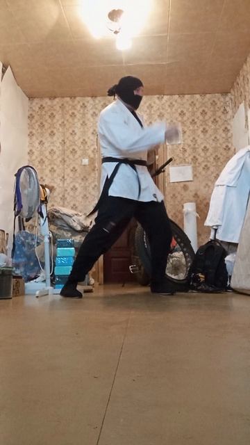 Крайне Северный Ниндзя: 30 Октябрьское Чудо I (30.10.2025) Very Nordic Ninja: 26 October Wonder I