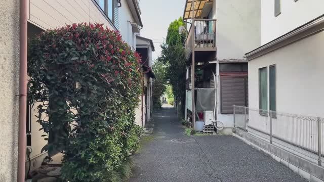 Япония. Прогулка по кварталу Томихиса внутри района Синдзюку в Токио