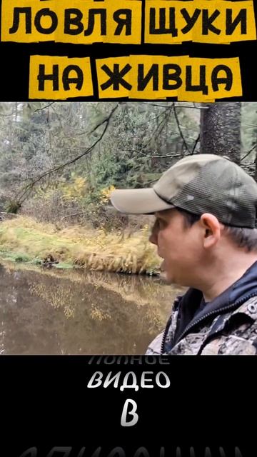 Где искать ЩУКУ на РЕКЕ