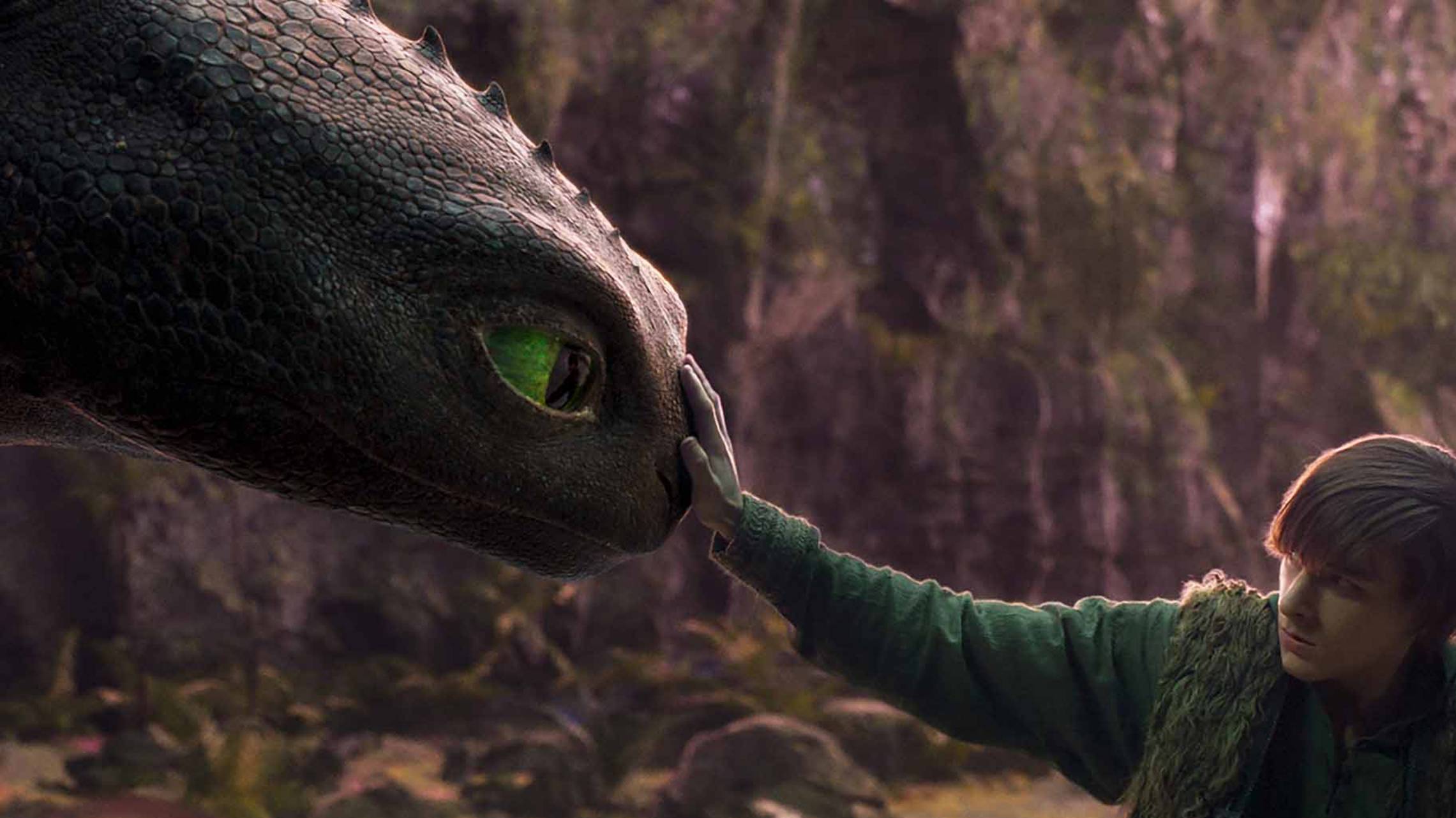 КАК ПРИРУЧИТЬ ДРАКОНА БЕЗЗУБИК НОЧНАЯ ФУРИЯ ВИКИНГ НОВЫЕ КРУТЫЕ РАЗВИВАЮЩИЕ МУЛЬТИКИ ДЛЯ ДЕТЕЙ