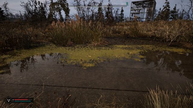 С.Т.А.Л.К.Е.Р. 2 -Аномальная активность №28(Парящие столбы)