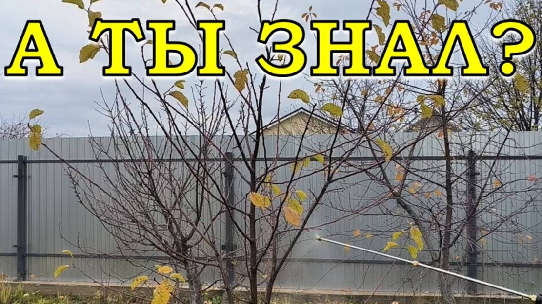 Скорая помощь ДЛЯ САДА. Обязательно сделайте это осенью🌿🍁🍂