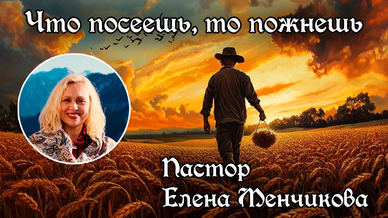 Что посеешь, то пожнешь 17.11.2024