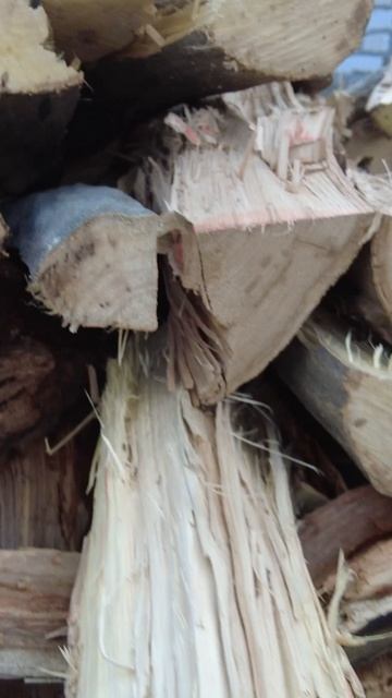 Прошел испытания! Брать или не брать гидравлический дровокол Brait BLS525?