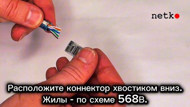 Коннектор RJ-45 (8p8c) cat.5е, экранированный, для одножильного и многожильного кабеля, Netko