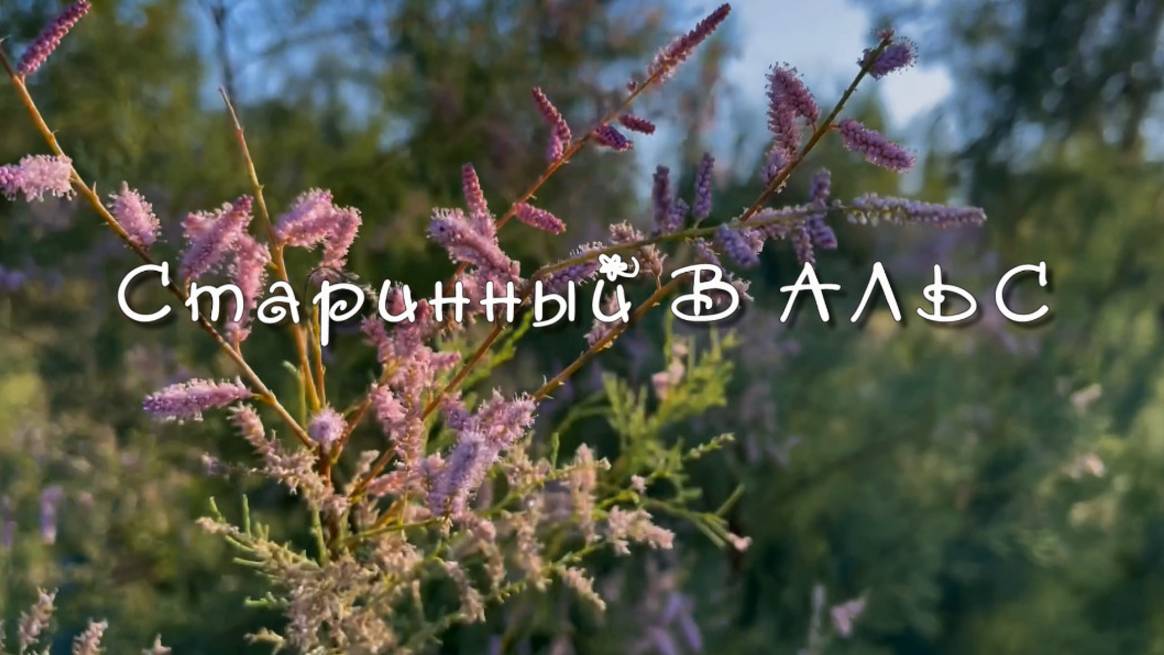 СТАРИННЫЙ ВАЛЬС, Дуэт баянистов,  А.Шалаев и Н.Крылов