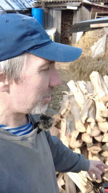 Наколол гидравлическим дровоколом горку вяза за час! Топором бы колол день!