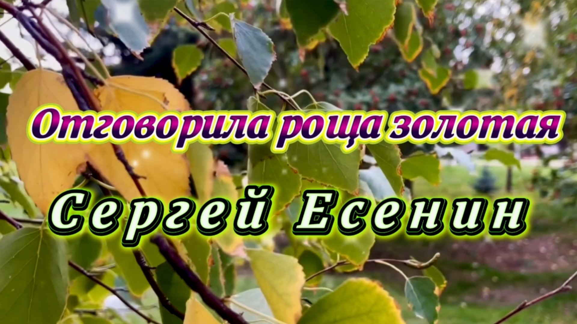 Отговорила роща золотая. Песни на стихи Сергея Есенина