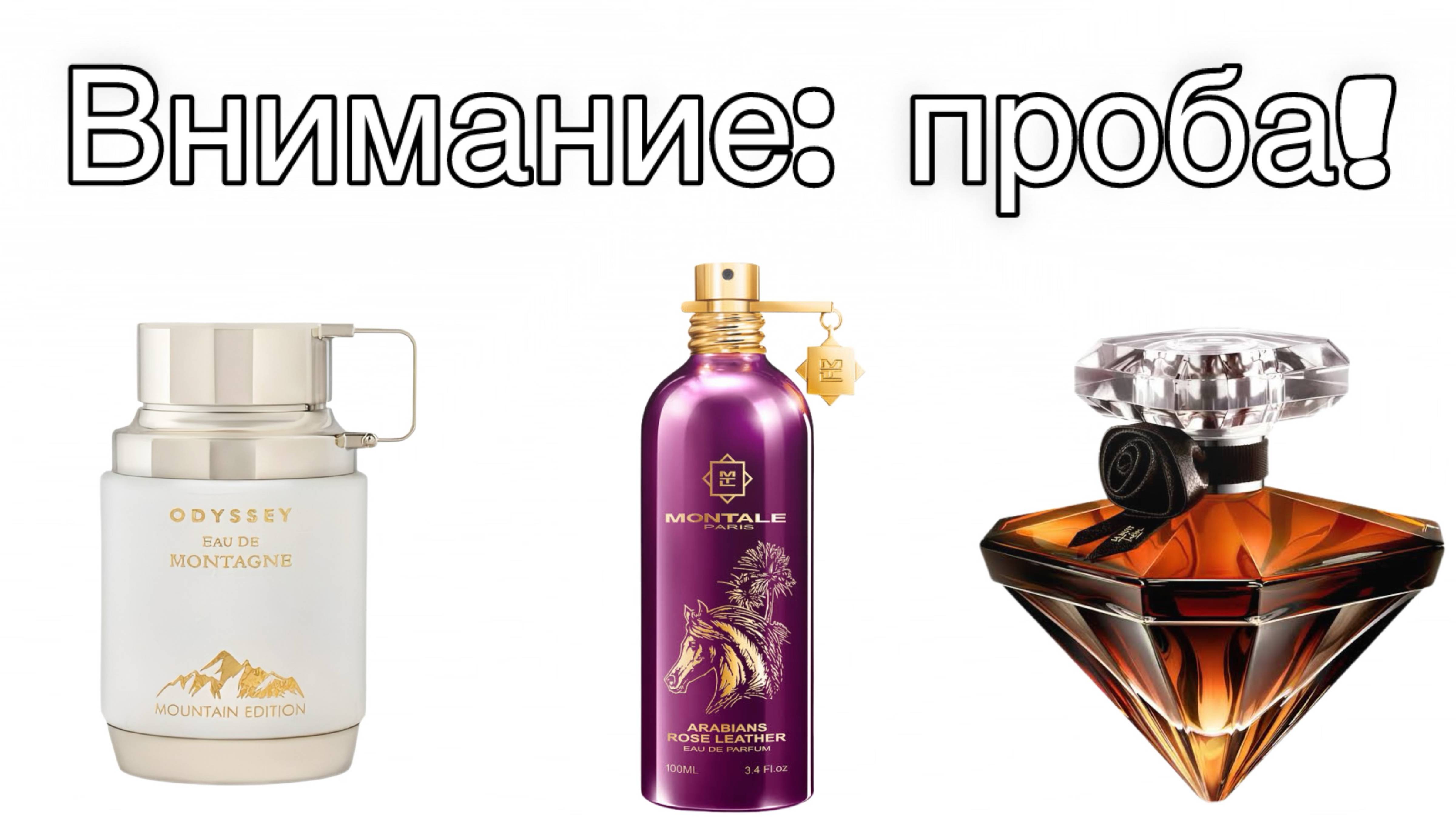 Внимание: проба! Новинки - 2025.