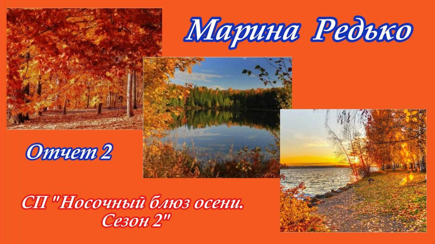 СП "Носочный блюз осени 2" / Отчет 2