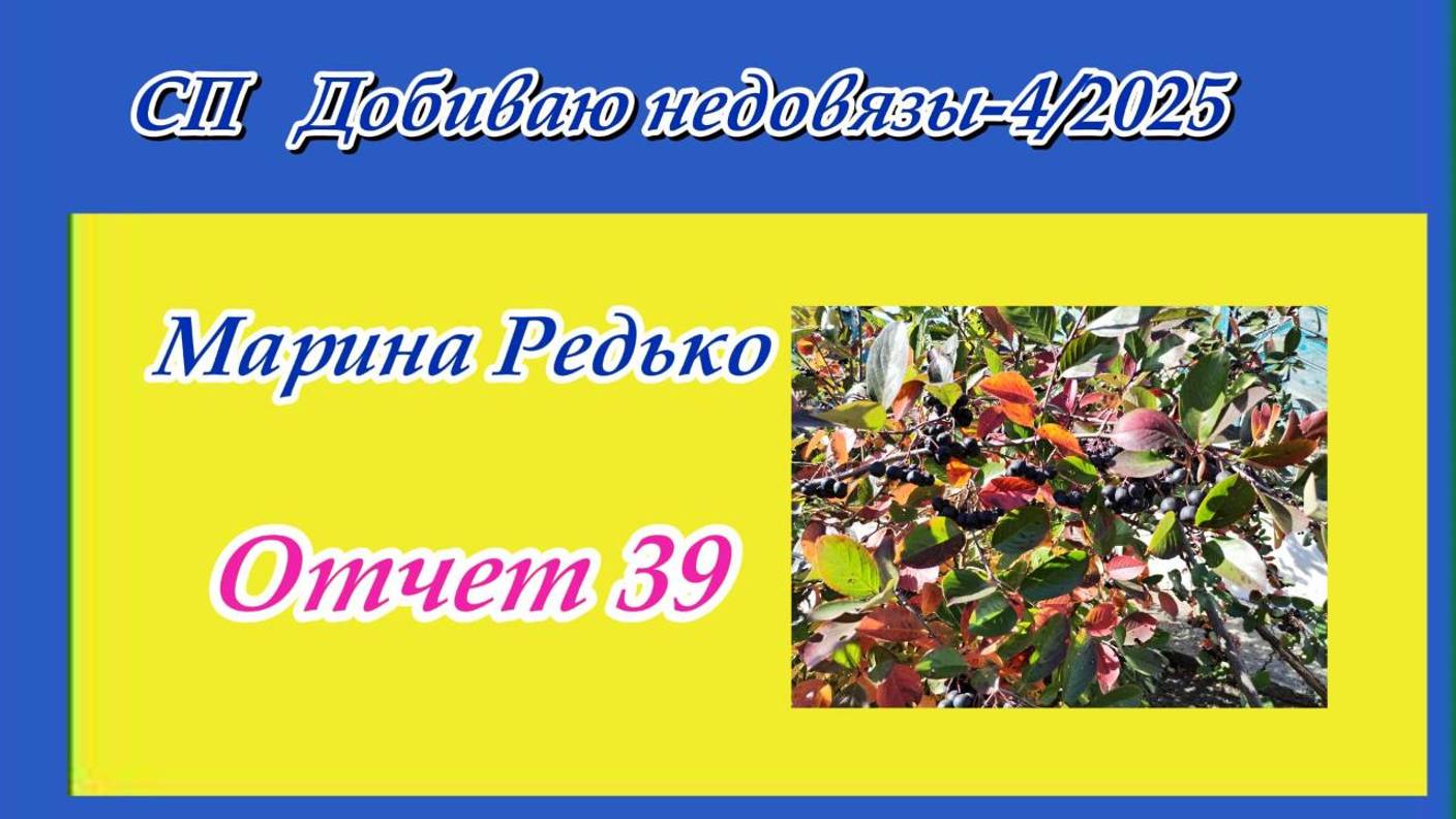 СП "Добиваю недовязы - 4/2025" / Отчет 39