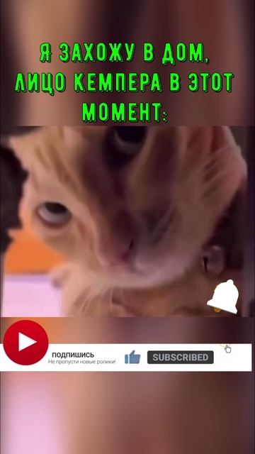 PUBG: Кемперы, не делайте так!