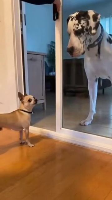 Вы меня не правильно поняли 😹