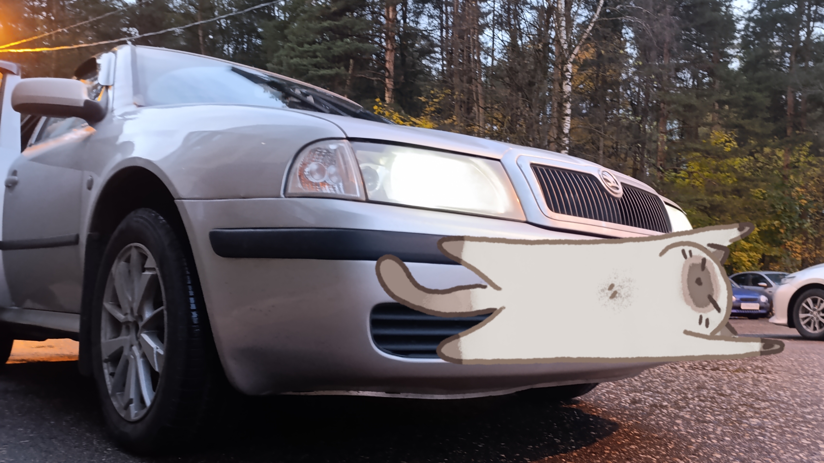 Обзор на Skoda Octavia 4a ну и конечно же поездочка.