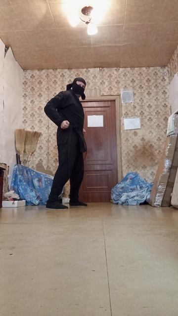 Северный Ниндзя: Диво. Чудо. Явь I (31.10.2025) 北の忍者: 不思議。奇跡。現実I #NordicNinja #NinjaTao #NinjaKata