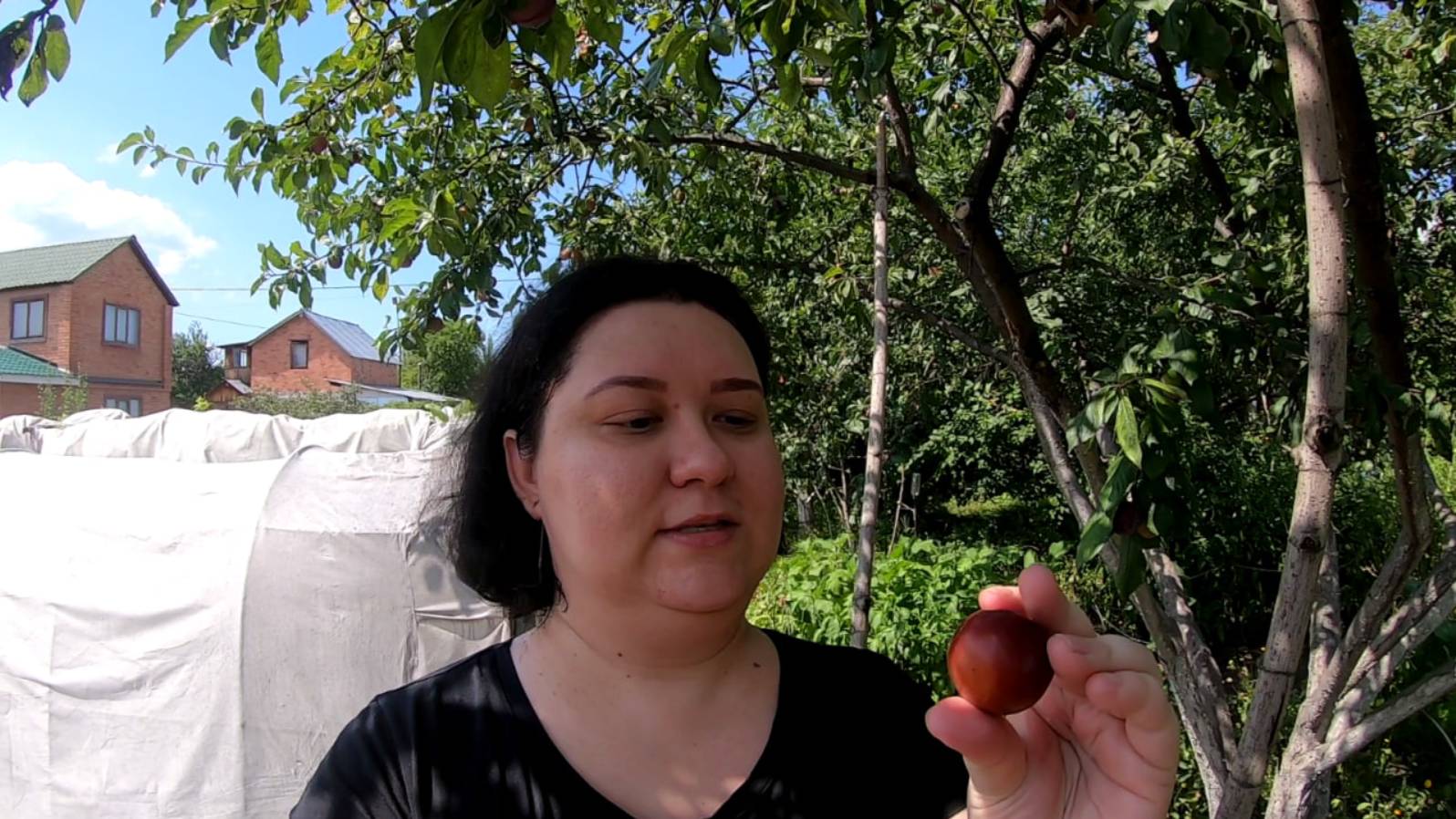 Приехали на дачу. Встреча с родственниками. На ужин шашлык и прочие вкусности. Август 2022