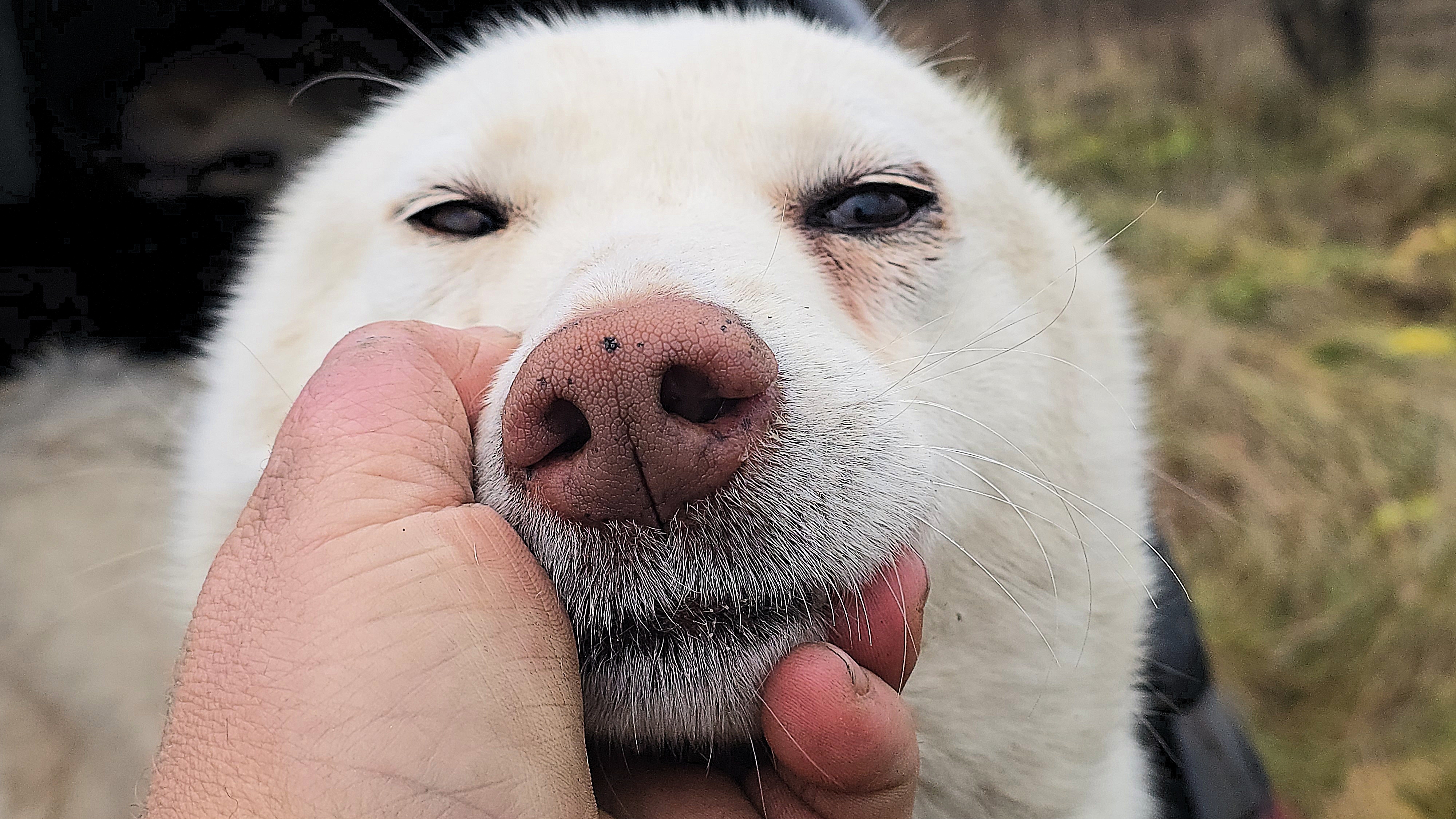 Пошли на девятый год