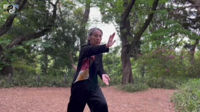 069 лабиринты кунфу