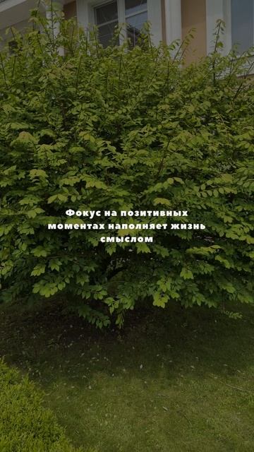 Когда всё идёт не по плану — вспомни, что у ASTERICA план есть всегда