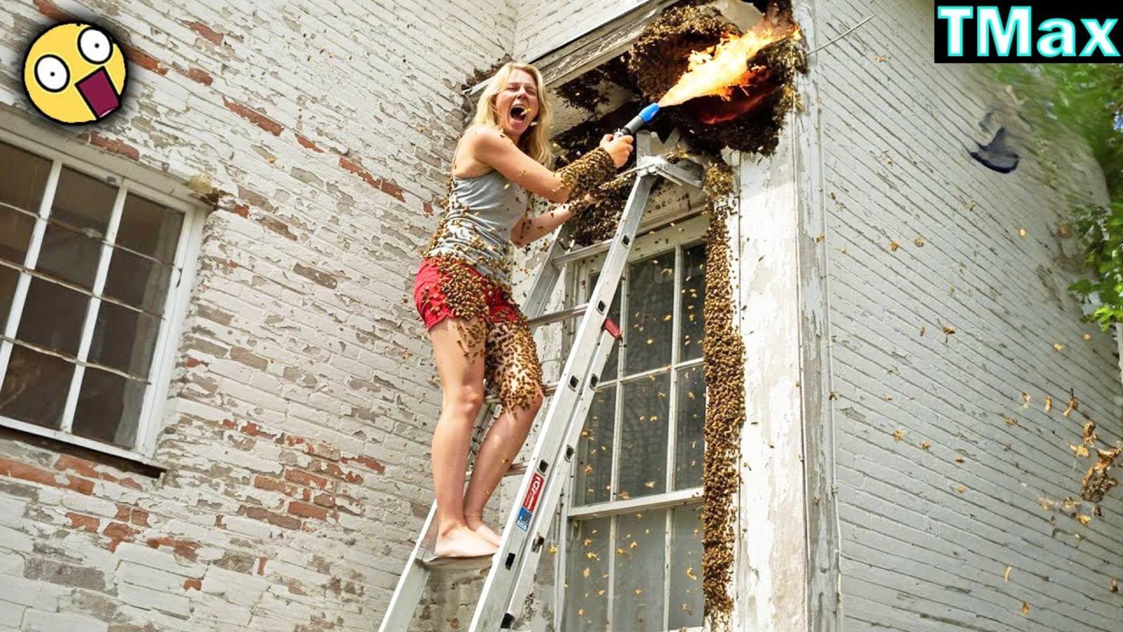 ПОЛНЫЕ ИДИОТЫ НА РАБОТЕ, Мгновенное сожаление Терпит неудачу, Сборник 2025  ПОСТАРАЙСЯ НЕ СМЕЯТЬ