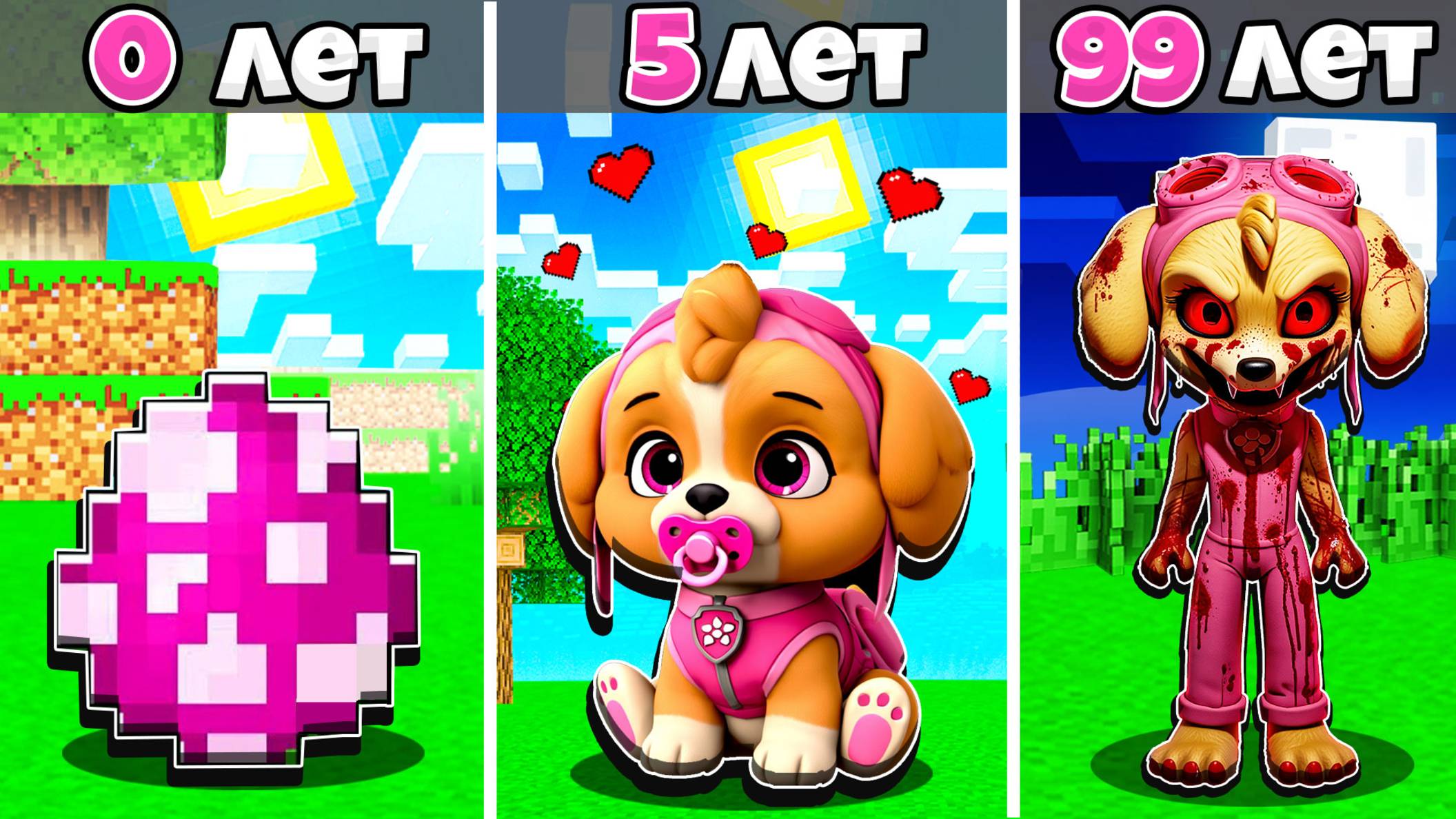 😍 КАК МЕНЯЛАСЬ СКАЙ ЩЕНЯЧИЙ ПАТРУЛЬ В МАЙНКРАФТ?