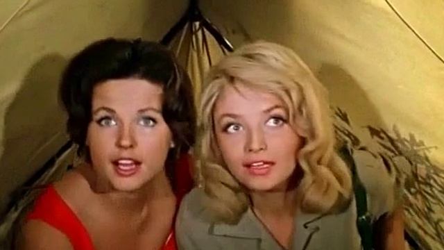 Все говорят, любовь это яд. (online-video-cutter.com)