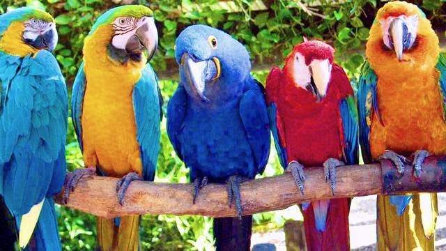 Признаки Бога у новорождённых детей