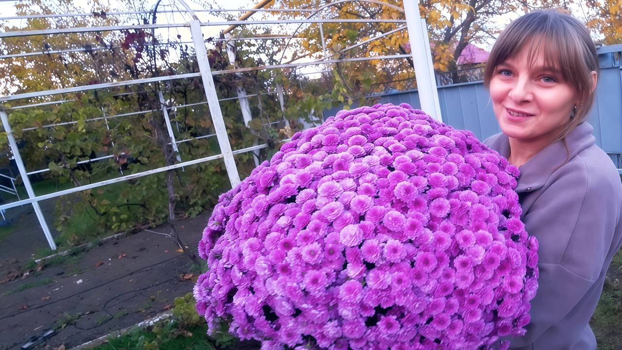 СЕЗОН ПОСАДОК ОТКРЫТ! КРАСИВЫЕ ЦВЕТЫ И ФРУКТОВЫЕ ДЕРЕВЬЯ В НАШЕМ САДУ. ИЗ ГОРОДА В ДЕРЕВНЮ 865серия