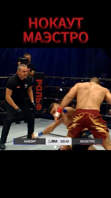 Нокаут Маэстро..Калмыков Маэстро бой.