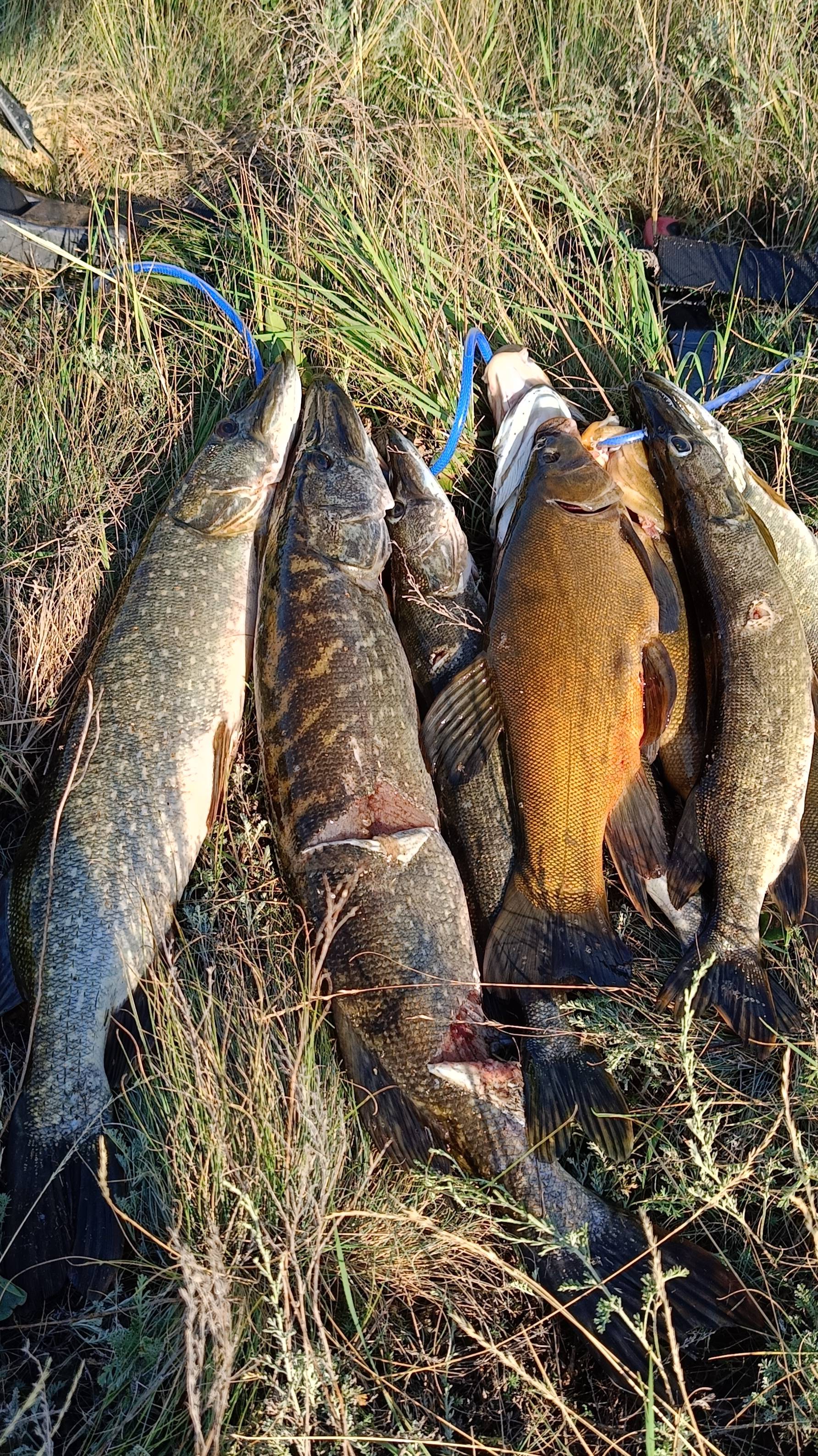 Подводный след - охота на малых реках. 06.07.2025