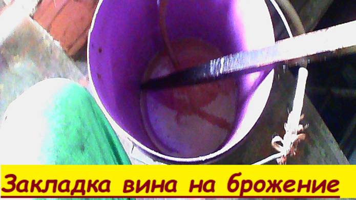 Закладка вина на брожение